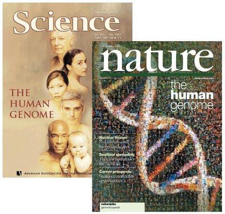 L’eredità del genoma umano
