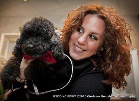 ARRIVA LA WEDDING DOG SITTER! ARRIVA LA WEDDING DOG SITTER!