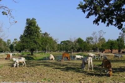 Kanchanaburi, Sukhothai, Chiang mai, Pai