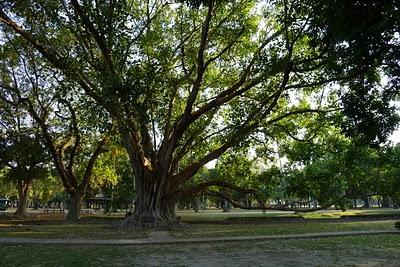 Kanchanaburi, Sukhothai, Chiang mai, Pai