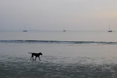 Koh Phi Phi e Koh Phayam