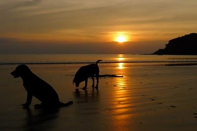 Koh Phi Phi e Koh Phayam