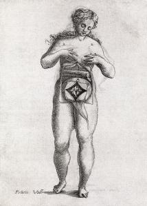 foetus-in-uterus-17th-century-artwork-middle-temple-library