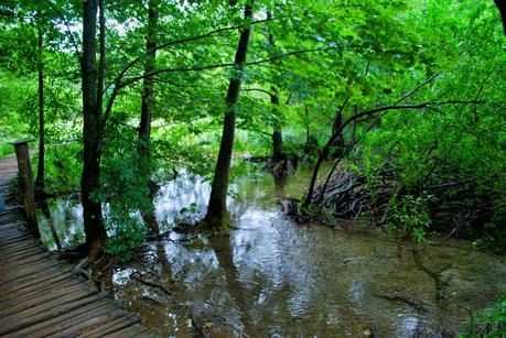 I laghi di Plitvice: quando l'uomo non c'entra...