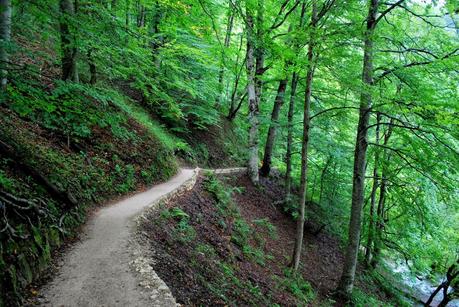 I laghi di Plitvice: quando l'uomo non c'entra...