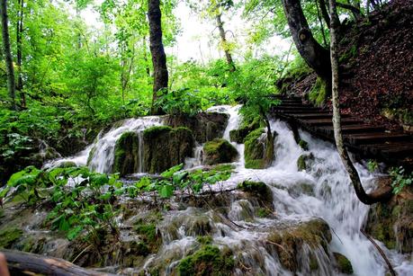 I laghi di Plitvice: quando l'uomo non c'entra...