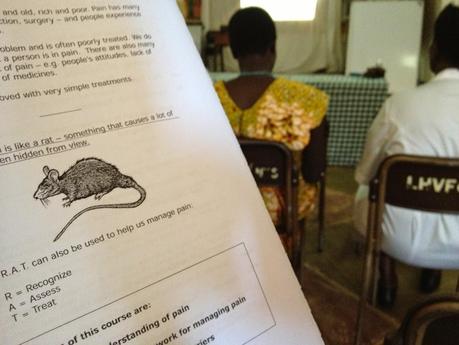 Diario africano/8 - The pain is like a rat