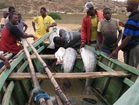 Pescadores_Angola