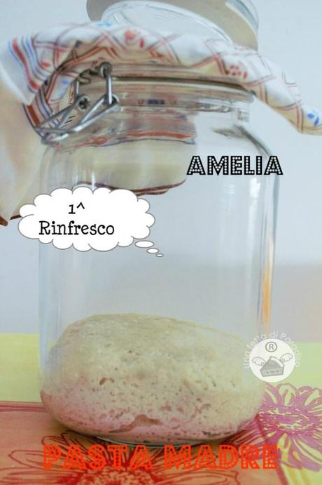 Amelia, La Mia Pasta Madre [1^ Parte]