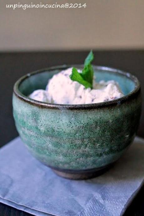 Gelato latte-menta con scaglie di cioccolato