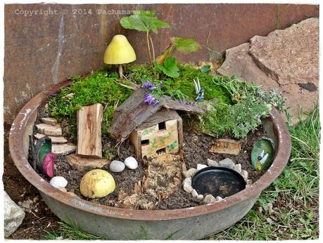 Fairy garden - Giardino delle fate