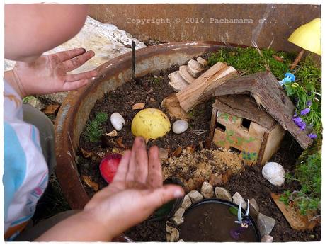 Fairy garden - Giardino delle fate