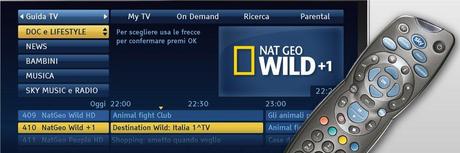 Novità SKY | Nat Geo Wild +1 sul canale 410, ecco come cambia la numerazione