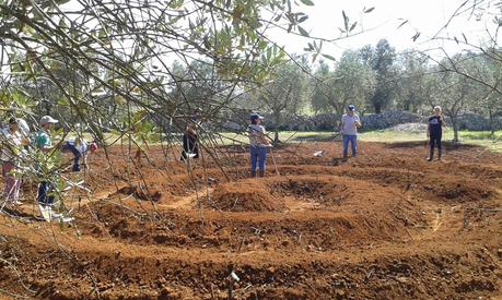 Workshop di PROGETTAZIONE e REALIZZAZIONE di un Orto rialzato naturale