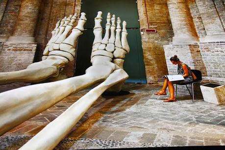 Sensational Umbria by Steve Mc Curry