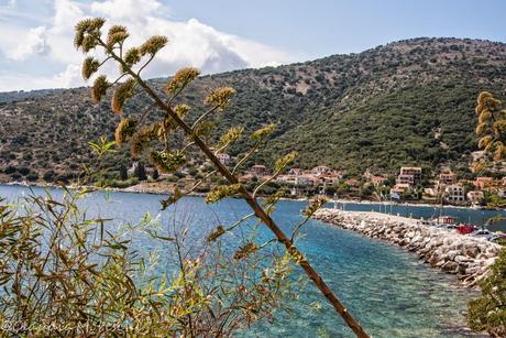 Cose da sapere su Cefalonia, un'isola non per tutti