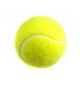 palle-da-tennis