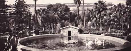 Il laghetto dei cigni nella Villa Comunale di Lecce. Anni '70-80
