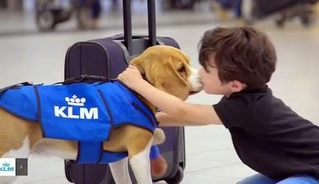 Trovatona di KLM: il cane trova oggetti smarriti - colpo di PR e visibilità su YouTube