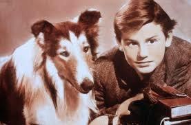 RODDY MCDOWALL: L'UOMO CHE VISSE SUL PIANETA DELLE SCIMMIE - Seconda Parte