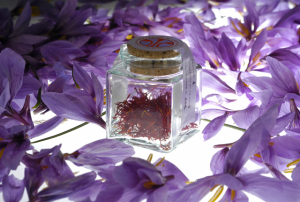 XIV Mostra mercato dello Zafferano Purissimo di Cascia zafferano