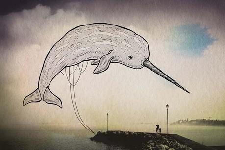 QUANDO L’ILLUSTRAZIONE INCONTRA LA FOTOGRAFIA: OCEANOGRAPHIES Oceanographies - Giulia Pex Luca Broglia_7