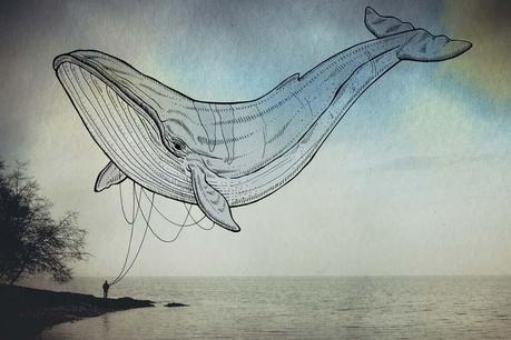 QUANDO L’ILLUSTRAZIONE INCONTRA LA FOTOGRAFIA: OCEANOGRAPHIES Oceanographies - Giulia Pex Luca Broglia_5