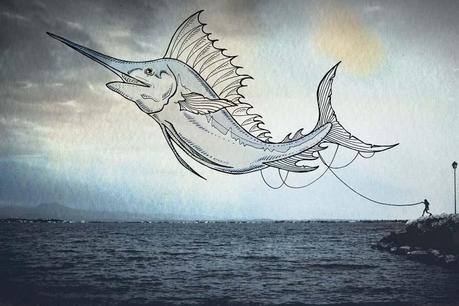 QUANDO L’ILLUSTRAZIONE INCONTRA LA FOTOGRAFIA: OCEANOGRAPHIES Oceanographies - Giulia Pex Luca Broglia_4