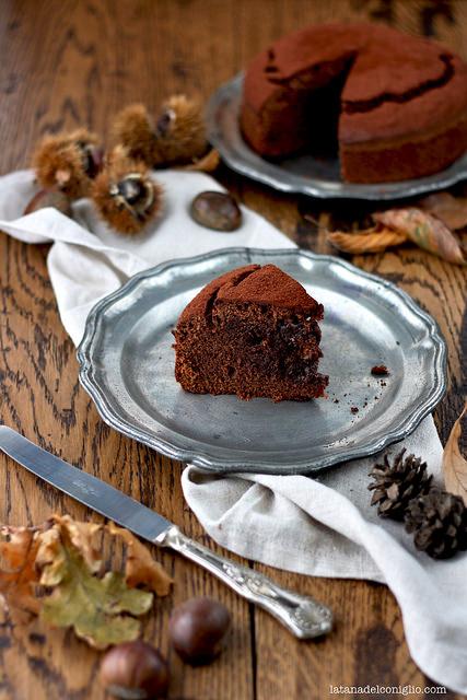 Torta morbida al cioccolato e farina di castagne