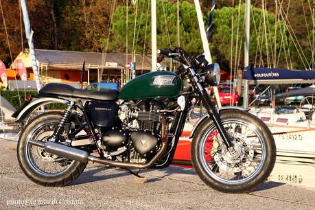 Triumph Bonneville 790cc by Andrea Bolzan