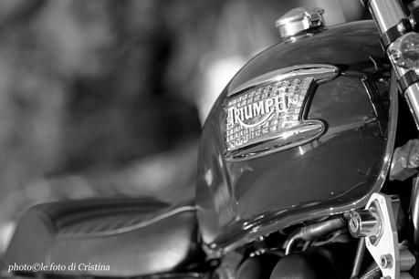 Triumph Bonneville 790cc by Andrea Bolzan