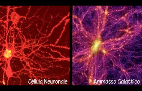 Una nuova ricerca paragona la struttura e lo sviluppo dell’Universo alle reti neurali di un cervello