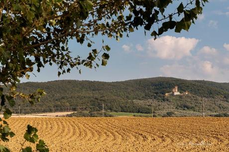 .. a giro per la campagna pisana