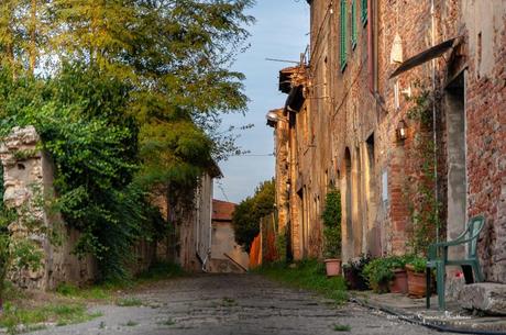 .. a giro per la campagna pisana