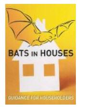 Bats in Houses – Irlanda