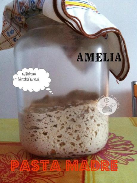 Amelia, La Mia Pasta Madre [2^ parte]
