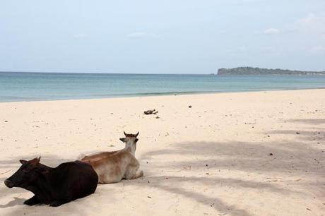 Uppuveli, sri lanka, viaggiandovaldi