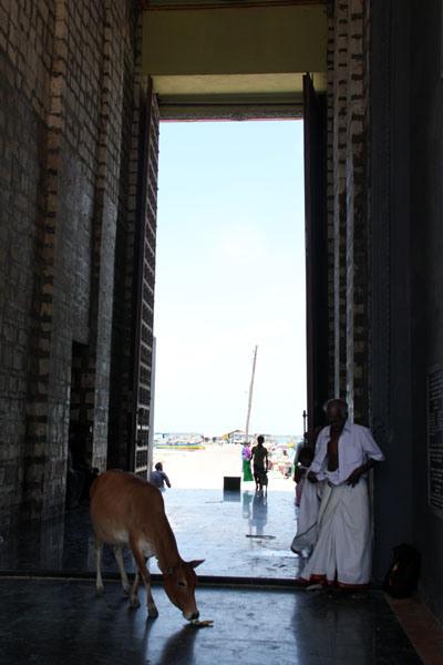 jaffna, sri lanka, viaggiandovaldi