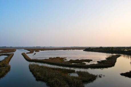 Terre del Piave - Lio Maggiore, Jesolo, Venezia