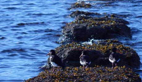 Wemyss Bay