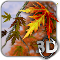  Autumn Leaves in HD Gyro 3D   il miglior live wallpaper autunnale per Android!