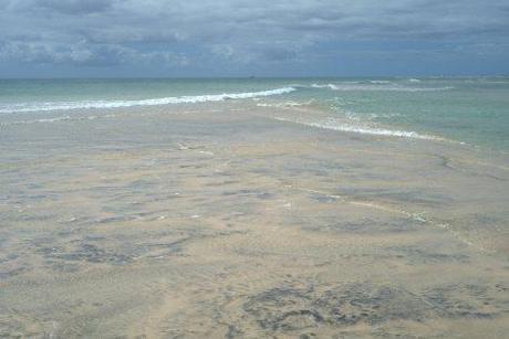 Fuerteventura