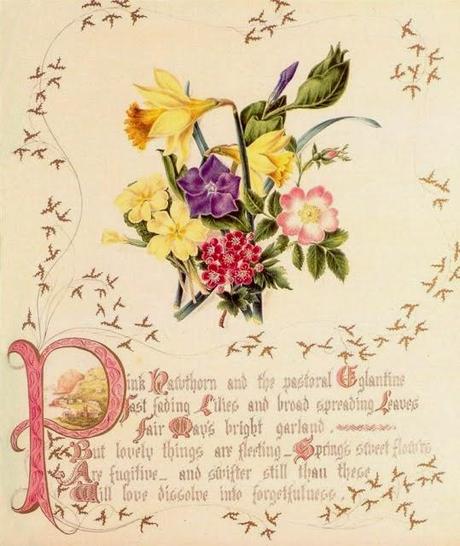The Country Flowers of a Victorian Lady by Fanny Robinson.