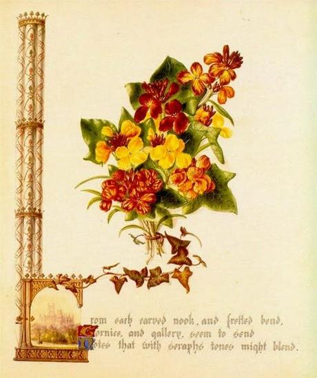 The Country Flowers of a Victorian Lady by Fanny Robinson.