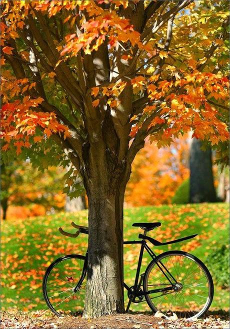 DRESSES FOR AUTUMN