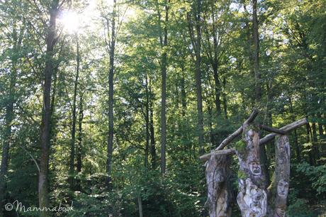 Gli uomini della foresta – The Waldmenschen