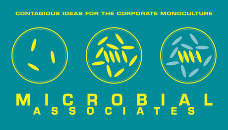 Meet my husband/29. Microbial Associates, ovvero: una scuola di business per batteri Meet my husband/29. Microbial Associates, ovvero: una scuola di business per batteri