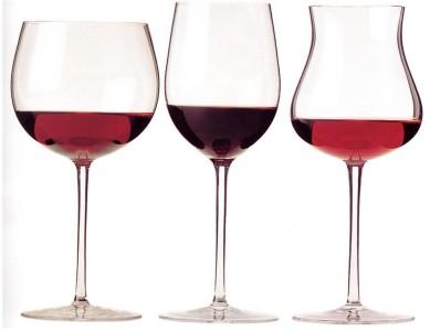 “Rubino – Rotte del vino” a novembre la seconda edizione