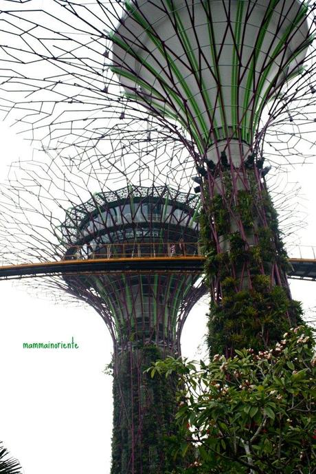 Singapore con i bambini, prima parte