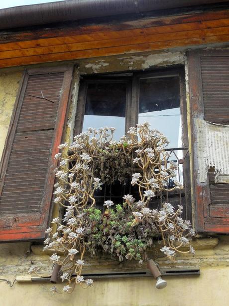 eppure sui Navigli c'è poesia